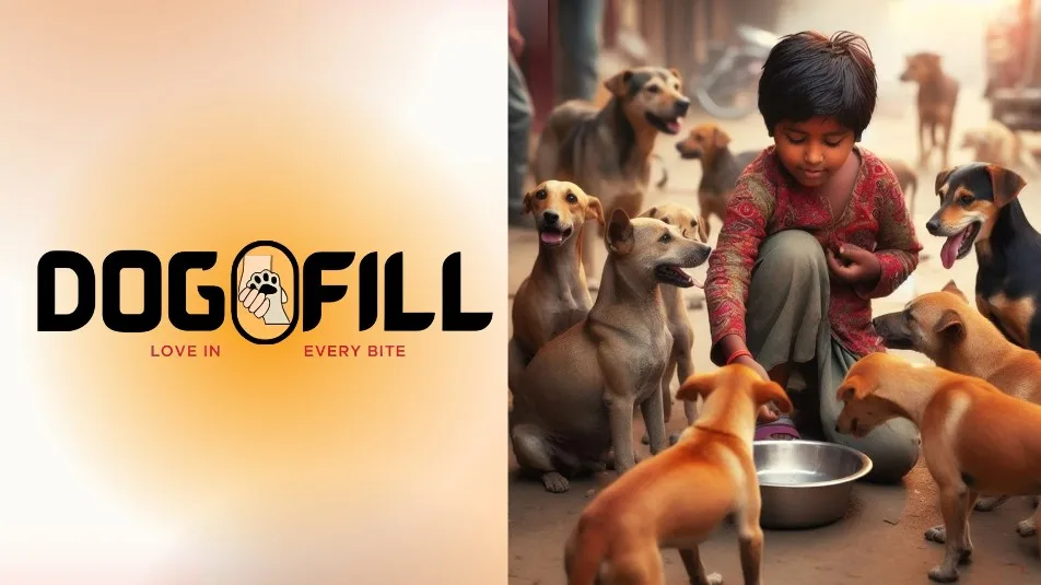 DOGOFILL - Empowering street dogs